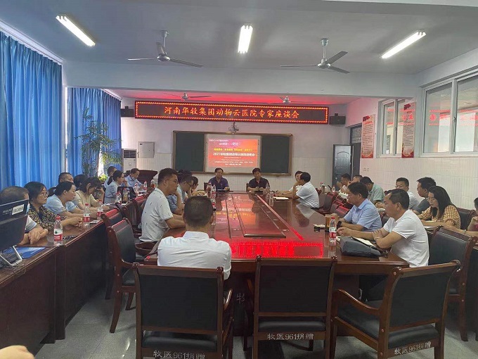 耀世娱乐医院座谈会.jpg